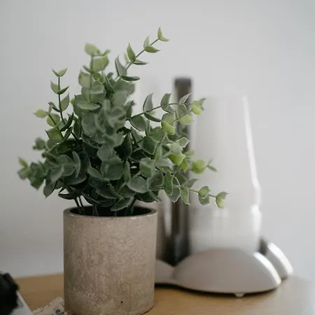 Lägenhet Casa Cleo Al Mare Con Free Wifi Netflix Ac